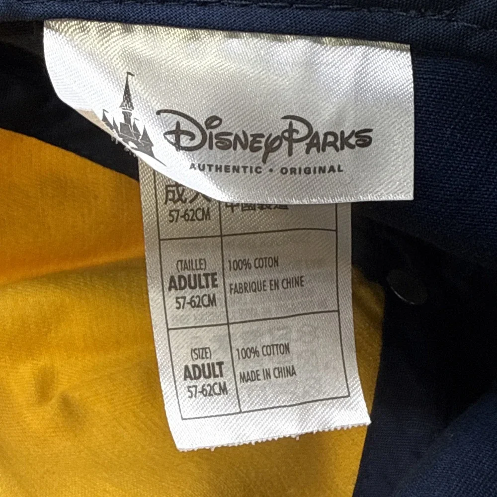 Disney parks world